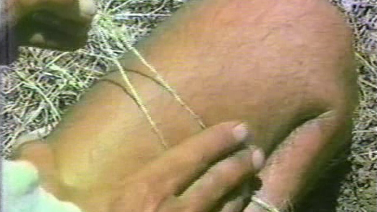 PRIMITIVE SKILLS, IN DEPTH Western High Desert CORDAGE Techniques and Plants - Jim Riggs