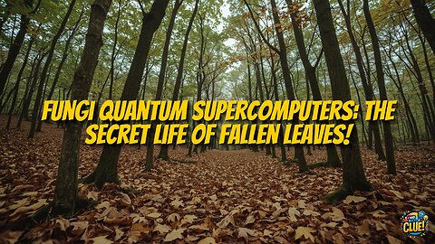 The Quantum Afterlife of Fallen Leaves: Forest Floor Computing
