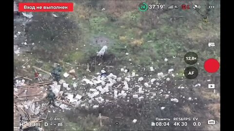 🇷🇺 🏹 🎬 💥 A pig saved a couple of Russian soldiers