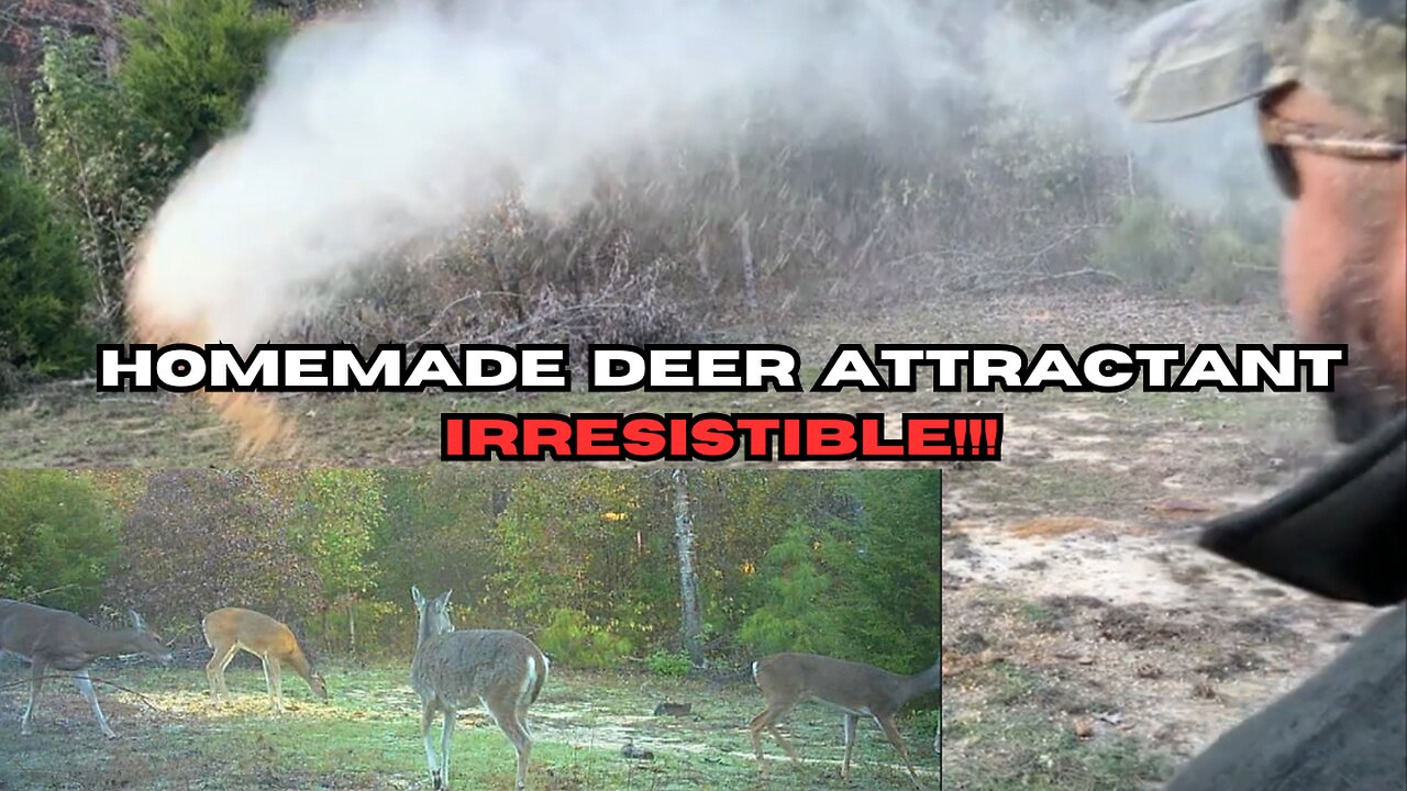 HOMEMADE DEER ATTRACTANT, IRRESISTIBLE!!!