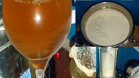 02, 2 week ,pale ale , IPA, complete, from start to