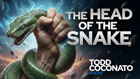 The Head of the Snake • The Todd Coconato Show