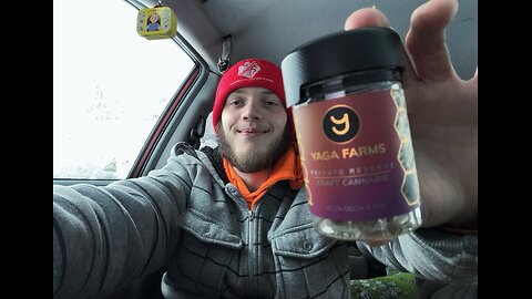 a Farms Pink Cookies Snowy hotbox review sesh