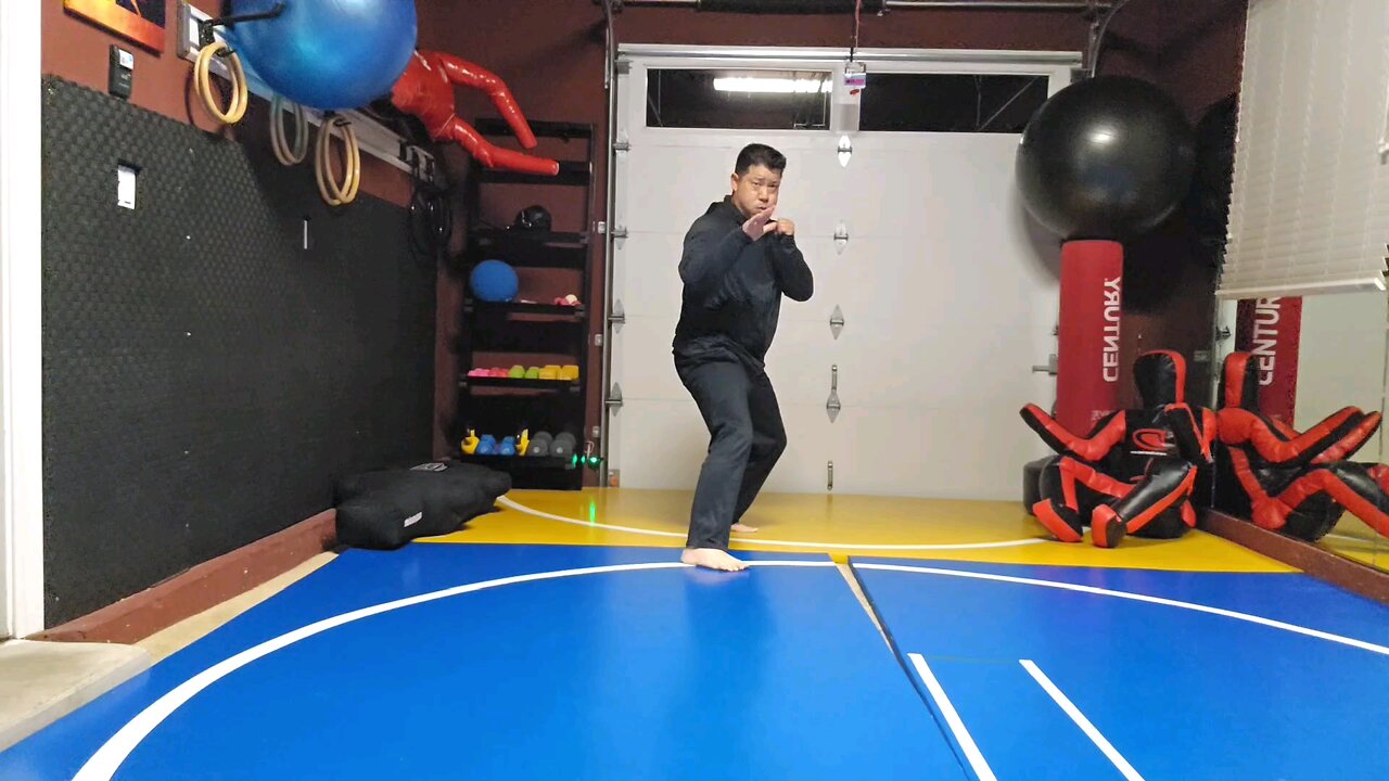 WTD 2 Step Kick Combination 5