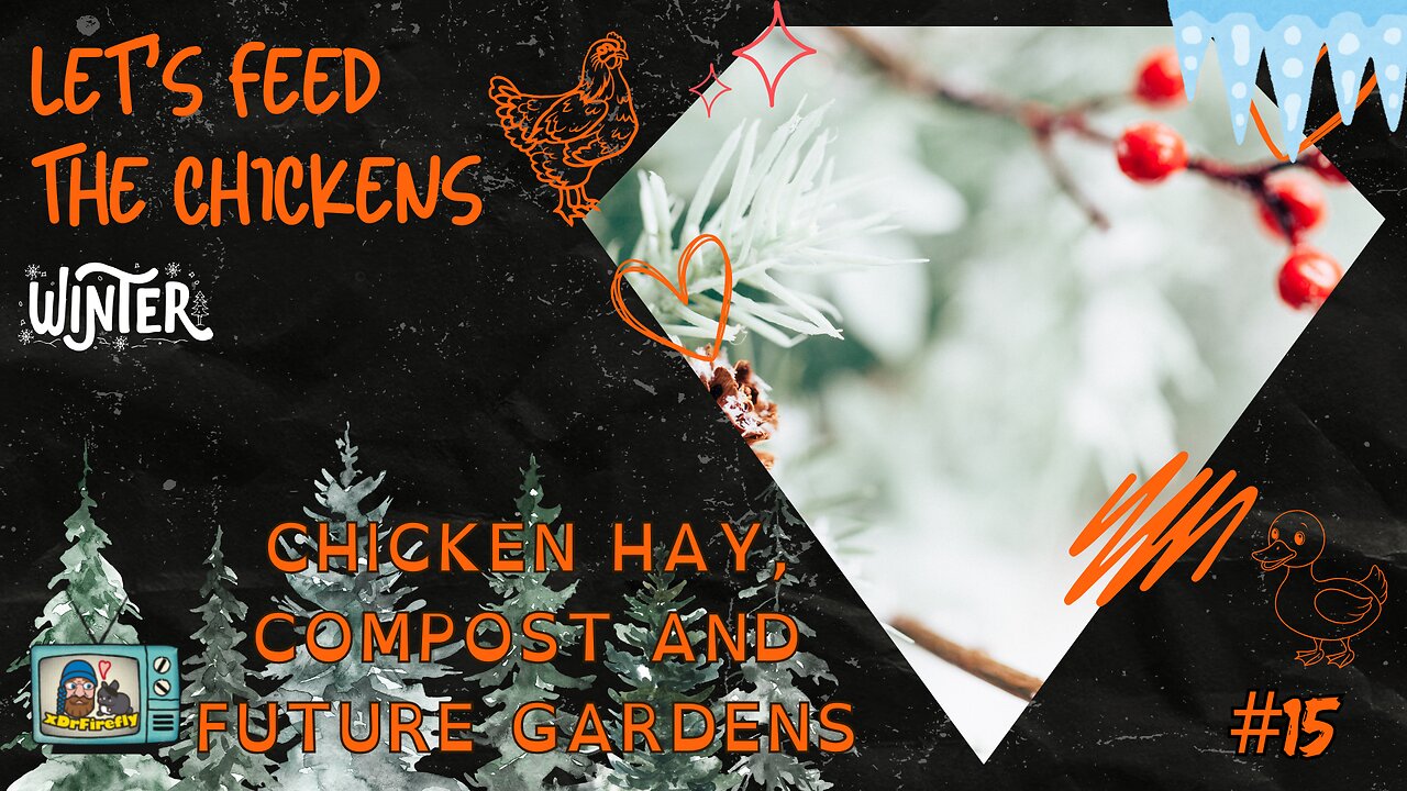 Chicken Hay, Compost and Future Gardens | Let's Feed the Chicken | E15