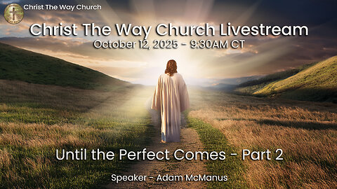 Until The Perfect Comes - Part 2