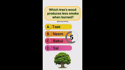 which three s wood produces less smoke 🌲🌳#shortsfeed #shorts #question-answer