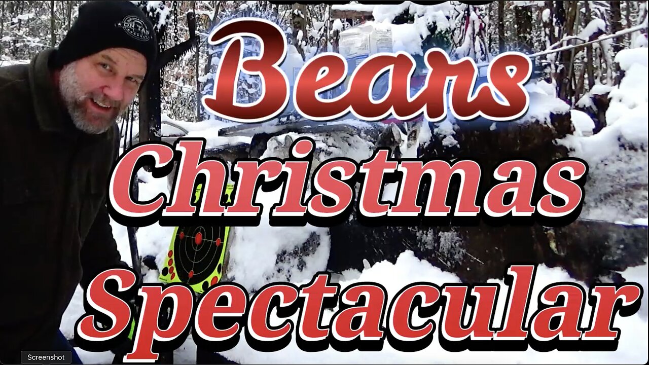 WAIGS Bears Christmas Spectacular