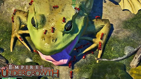 Tiny Ants Vs The Goliath Toad! Empires Of The Undergrowth Part 9