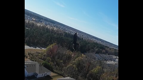 🦅 Autumn Leaves - Charlie Biddle Trio 🦅