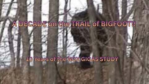 A DECADE on the trail of BIGFOOT!! / The NOX GIGAS STUDY 10th Anniversary / RICHARD SOULE