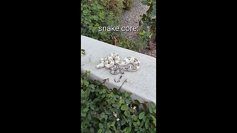 Snake Core
