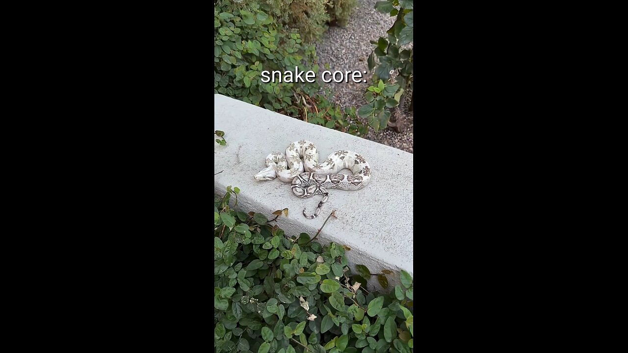Snake Core