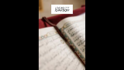 Follow if you love Allah / Surah Al Baqarah Ayat 101 #islam #quran #tafseer #viralvideos