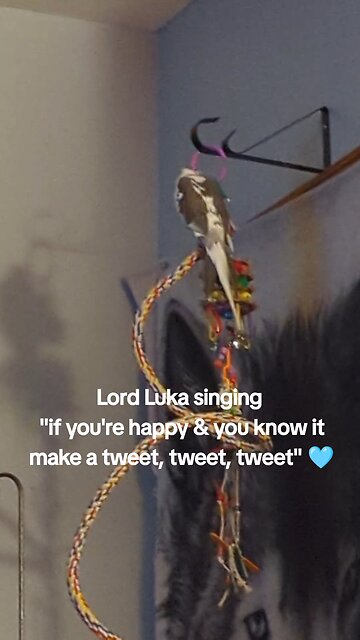 Take a Break From Politics