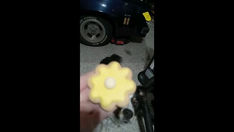 these may look like human cookies