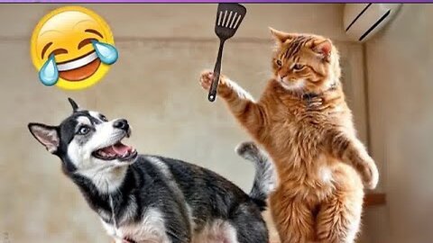 New Funny Cat and Dog Videos 😹🐶 Funniest Animals 🤣 Part 14