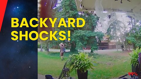 SHOCKING Backyard Discoveries! You WON'T Believe What People Found!