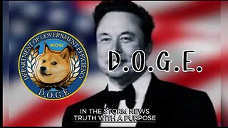 D.O.G.E Update Feb 21