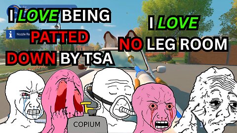 I REALLY DESPISE AIRPLANES