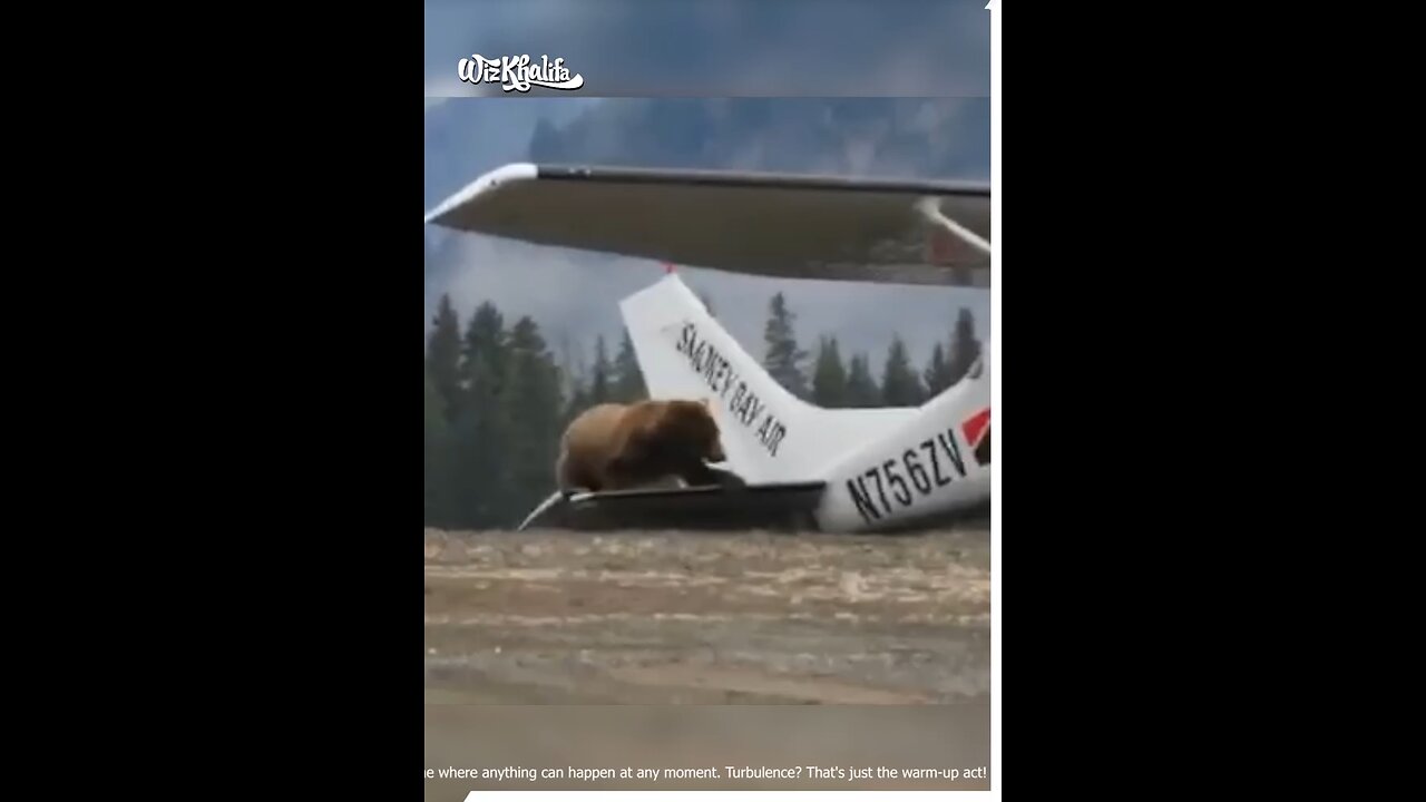 Just a Plane Fail in Progress 😬🛬 -