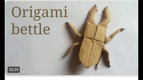 Origami beetle
