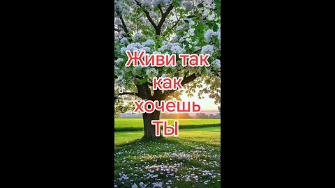 #recommendations #loneliness #karma #thoughts #family #top