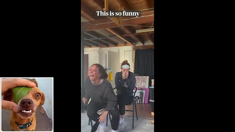 Funny videos compilation 18