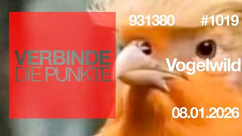 Verbinde die Punkte #1019 - Vogelwild (08.01.2026)