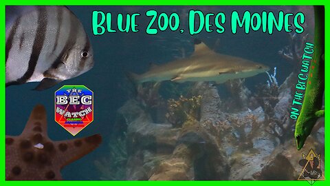 BEC Watch Entries: #39 Blue Zoo, Des Moines