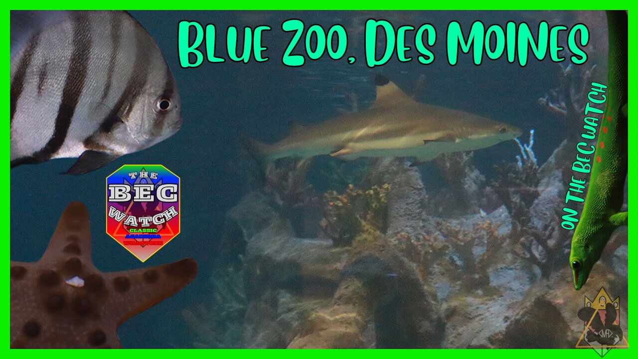 BEC Watch Entries: #39 Blue Zoo, Des Moines