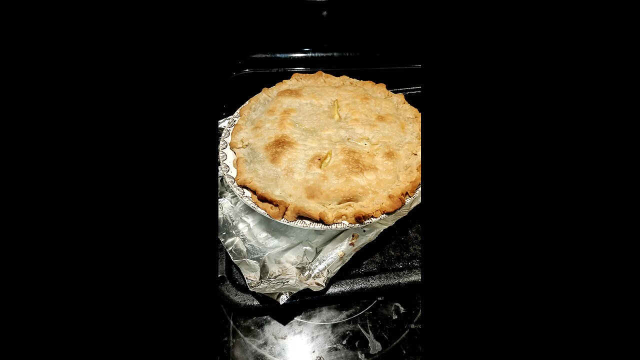 Eating Homemade Chicken Pot Pie Made By My Wife, Dbn, MI, 12/31/24