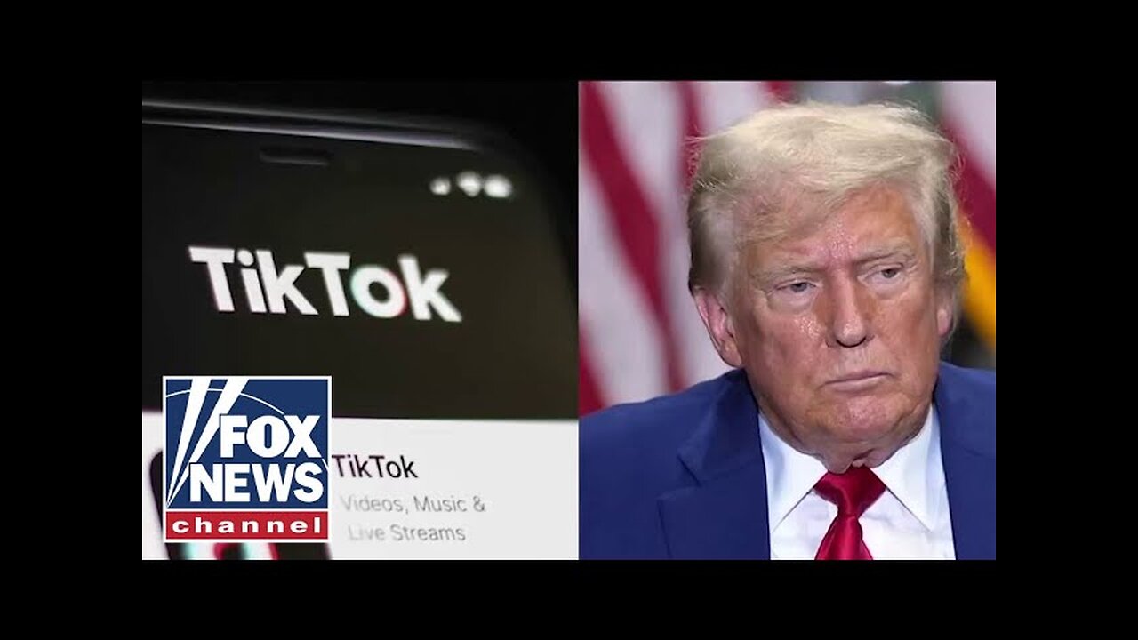 We need to give Trump time to deal with TikTok: Silicon Valley pioneer