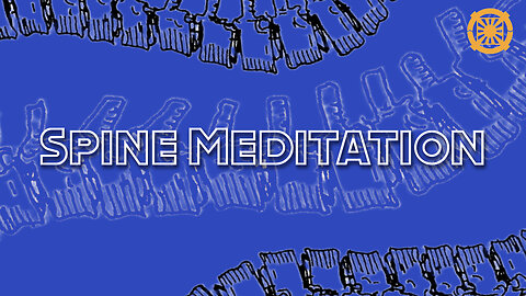 Spine Meditation Led by Shigeru Tashiro