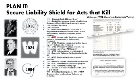Dr David Martin WHO Criminal Organization European Parliament address with slides