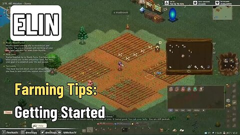 Get Started Farming and More! - ELIN Guide