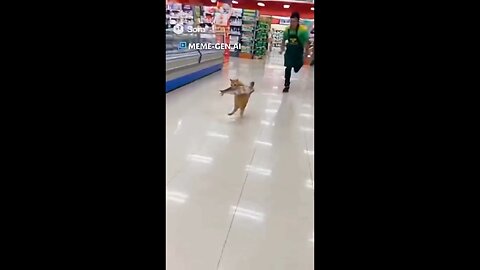 memeGen AI is the best free image to video generator — I’ve loved using it so far and it’s pretty