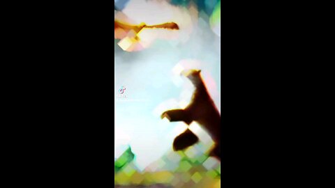 Tiger And Eagle Attitude