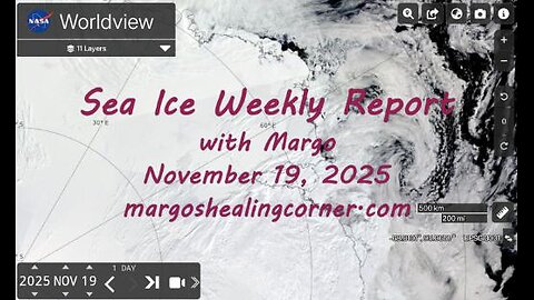 Sea Ice Weekly Report with Margo (Nov. 19, 2025)