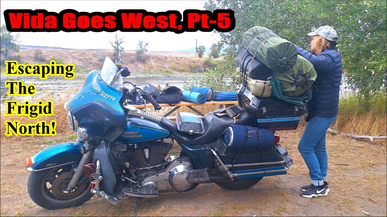 The Southbound Migration