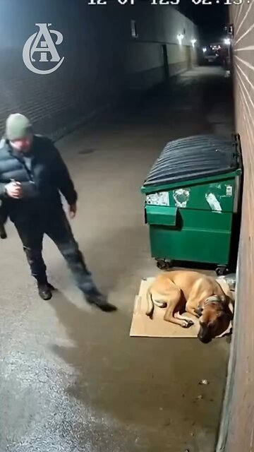 In your opinion, wasn't this the result of his actions?