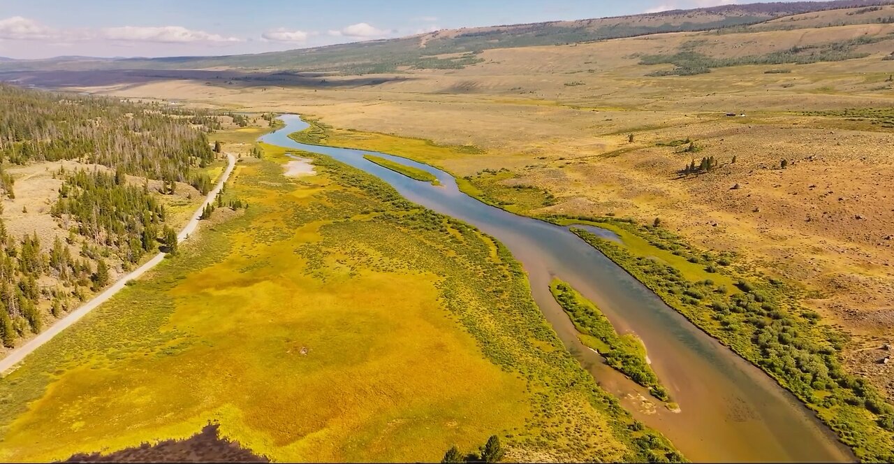 The Green River