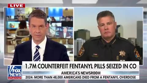 WATCH_ Record-breaking drug load discovered in auctioned storage unit