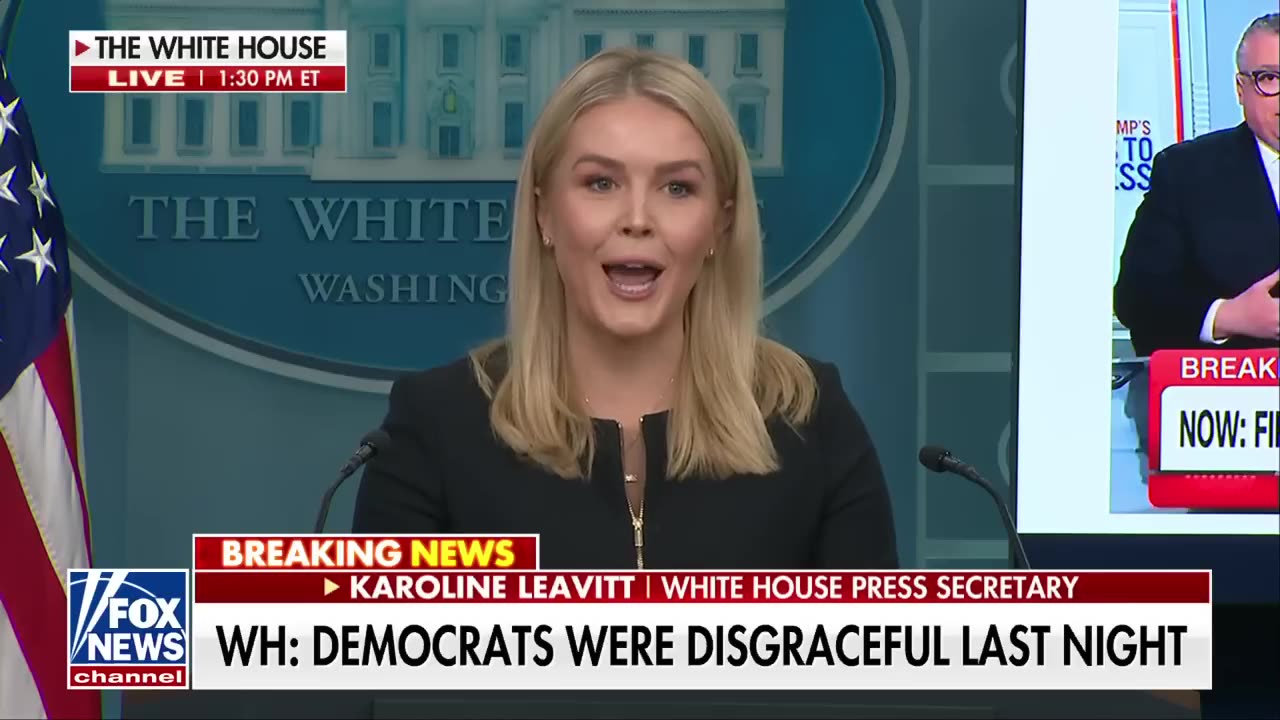 Karoline Leavitt calls out MSNBC's Nicole Wallace: 'DISGUSTING'