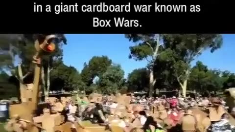 😂💥 Epic Cardboard Box Battles You Won't Believe! | FeedMyCuriosity