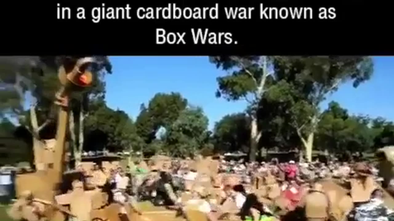 😂💥 Epic Cardboard Box Battles You Won't Believe! | FeedMyCuriosity