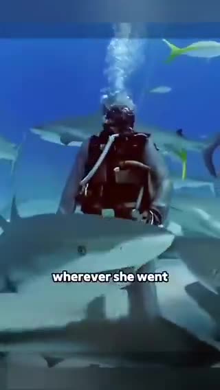 信じられない話。サメの口から釣り針をとってあげた女性