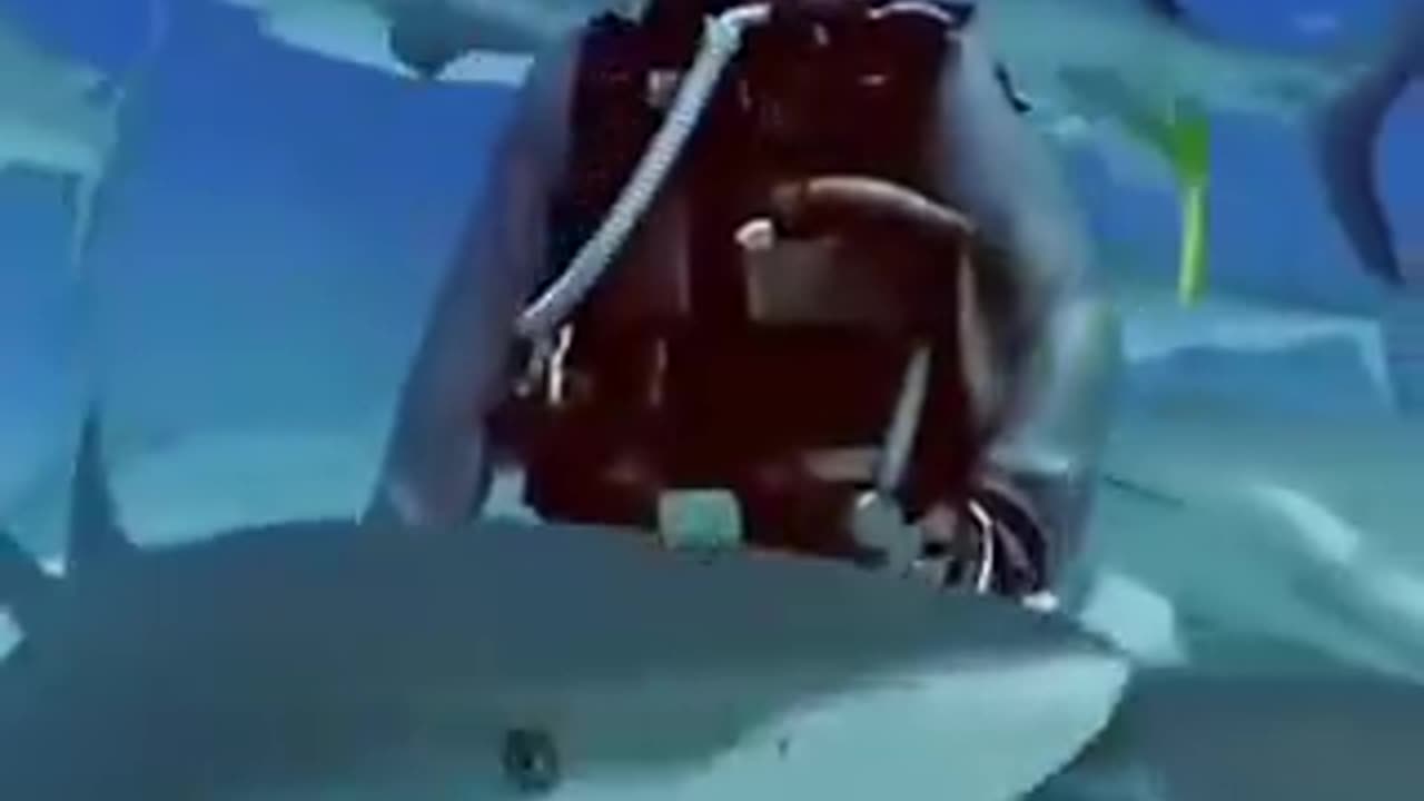 信じられない話。サメの口から釣り針をとってあげた女性