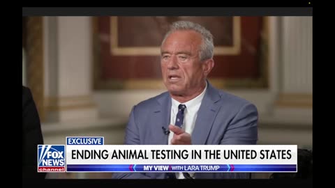 We need to end all animal testing