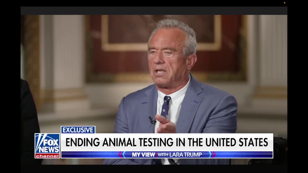 We need to end all animal testing